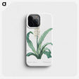 2-12_The-Lilies_phone