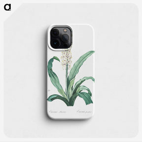 2-12_The-Lilies_phone