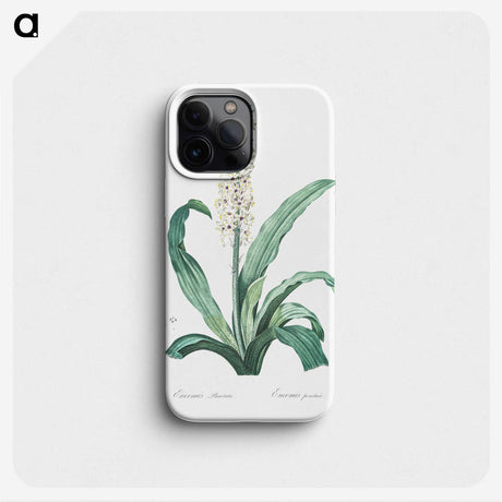 2-12_The-Lilies_phone
