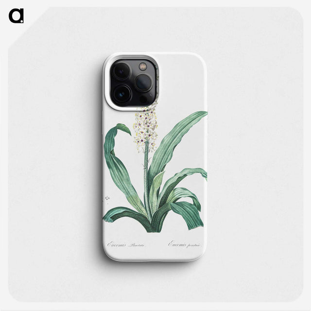 2-12_The-Lilies_phone