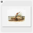 2-12_The-Viviparous-Quadrupeds_picture