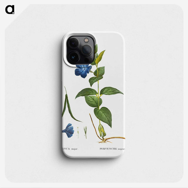 2-12_Treatise-on-Trees-and-Shrubs_phone