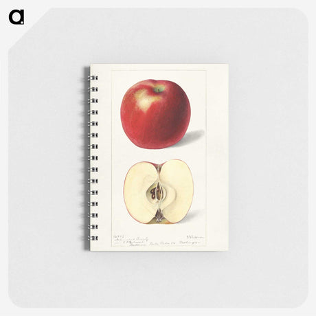 2-12_USDA-Watercolor-Fruit-Painting-Collection_memo