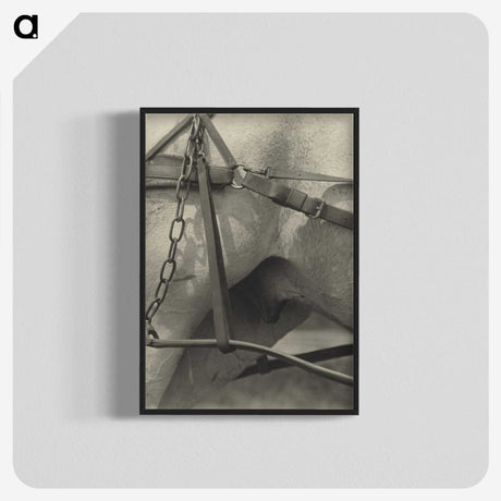 2-13_Alfred-Stieglitz_blk-crop