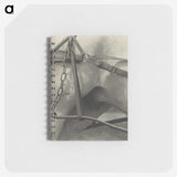 2-13_Alfred-Stieglitz_memo