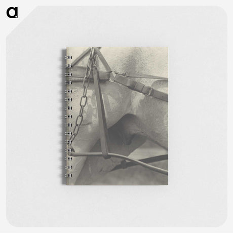 2-13_Alfred-Stieglitz_memo