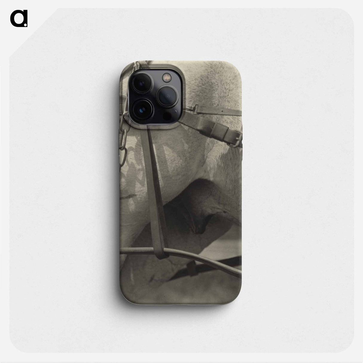 Spiritual America - アルフレッド スティーグリッツ Phone Case.