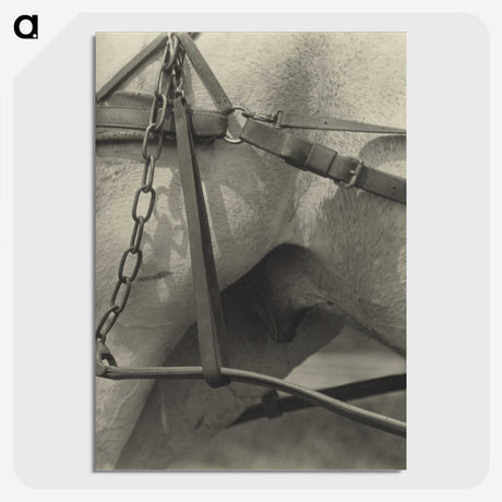 2-13_Alfred-Stieglitz_picture-crop