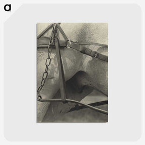 2-13_Alfred-Stieglitz_postcard