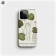 2-13_Anselmus-Boetius-de-Boodt_phone