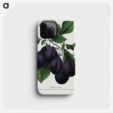 2-13_Botanical-Specimen-Plates_phone