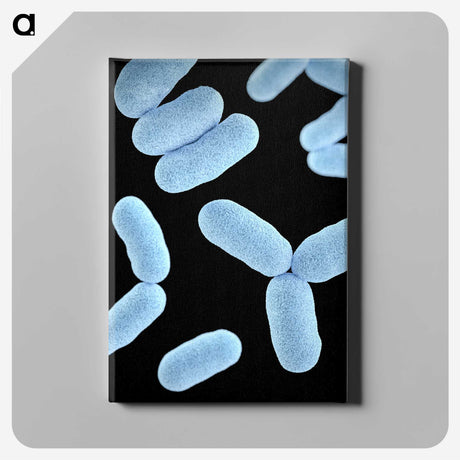 2-13_COVID-19_canvas