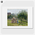 2-13_Camille-Pissarro_picture