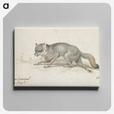 2-13_Charles-Hamilton-Smith_canvas