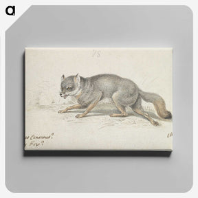 2-13_Charles-Hamilton-Smith_canvas