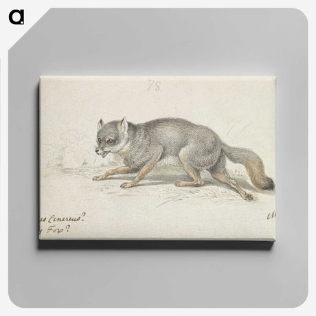 2-13_Charles-Hamilton-Smith_canvas