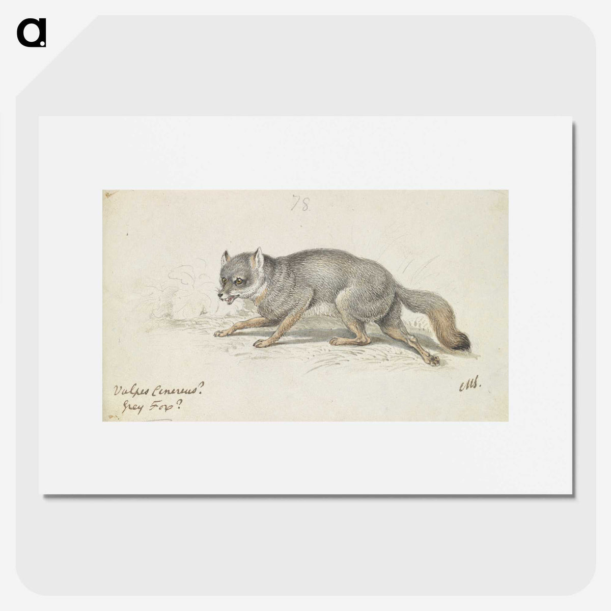 2-13_Charles-Hamilton-Smith_picture
