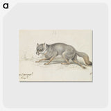 2-13_Charles-Hamilton-Smith_postcard