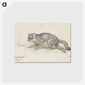 2-13_Charles-Hamilton-Smith_postcard