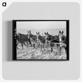 2-13_Dorothea-Lange_blk-crop