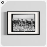2-13_Dorothea-Lange_blk