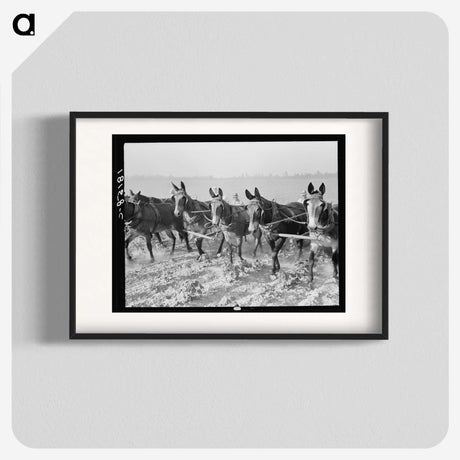 2-13_Dorothea-Lange_blk