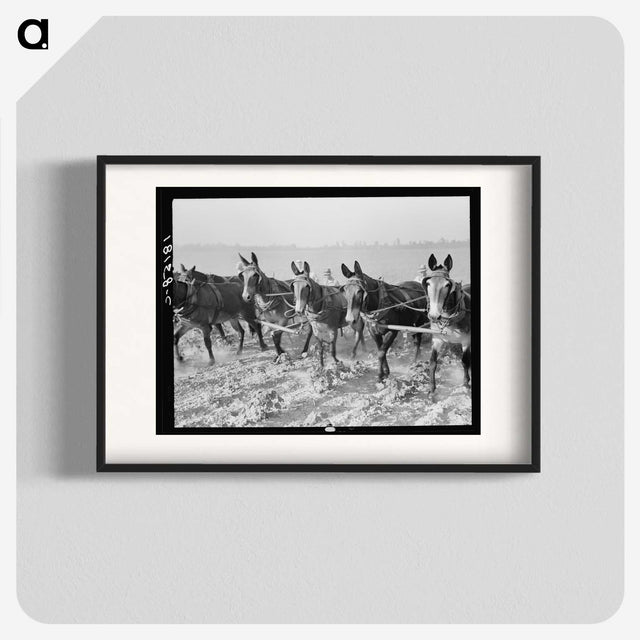 2-13_Dorothea-Lange_blk