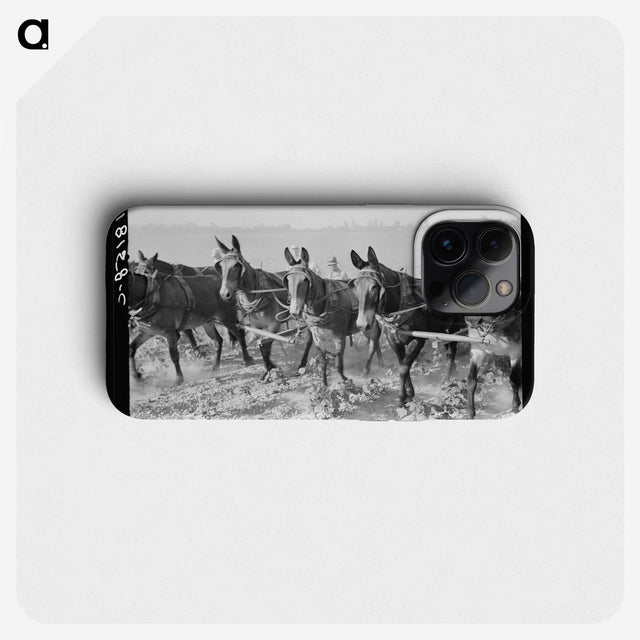 2-13_Dorothea-Lange_phone
