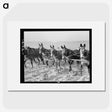 2-13_Dorothea-Lange_picture