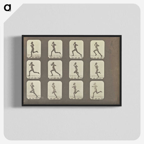 2-13_Eadweard-Muybridge_blk-crop