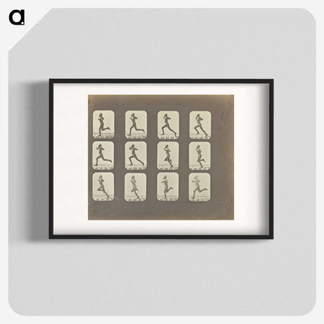 2-13_Eadweard-Muybridge_blk