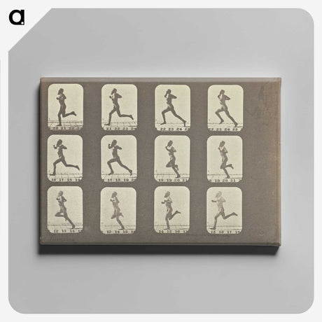 2-13_Eadweard-Muybridge_canvas