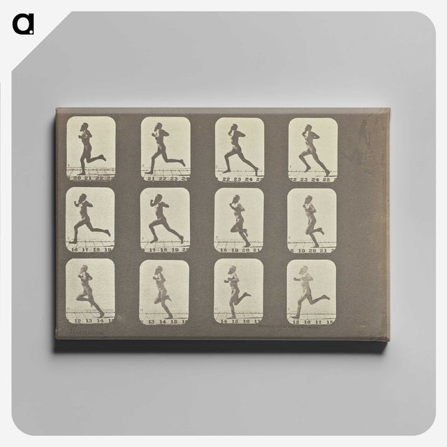 2-13_Eadweard-Muybridge_canvas