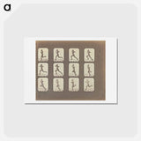 アートポストカード-Male Runner
 - エドワード マイブリッジ Postcard.
