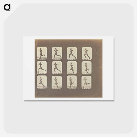 アートポストカード-Male Runner
 - エドワード マイブリッジ Postcard.