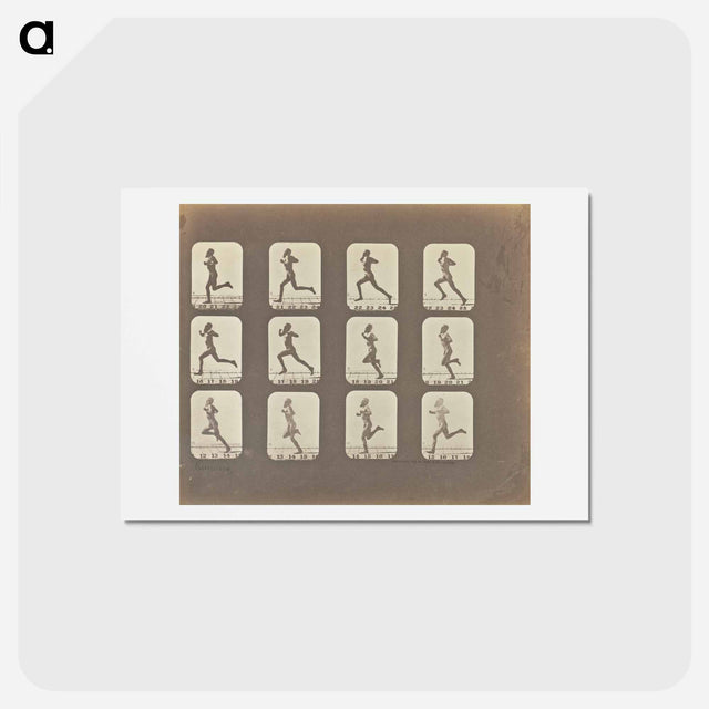 アートポストカード-Male Runner
 - エドワード マイブリッジ Postcard.