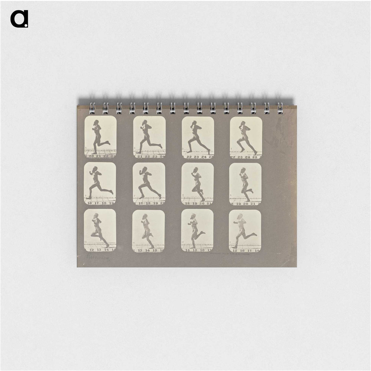 2-13_Eadweard-Muybridge_memo