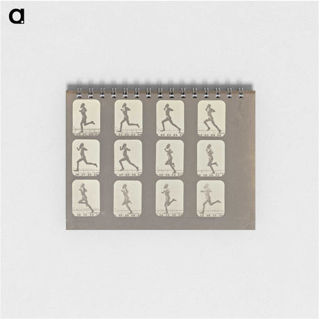 2-13_Eadweard-Muybridge_memo