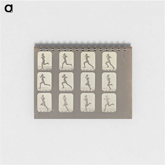 2-13_Eadweard-Muybridge_memo