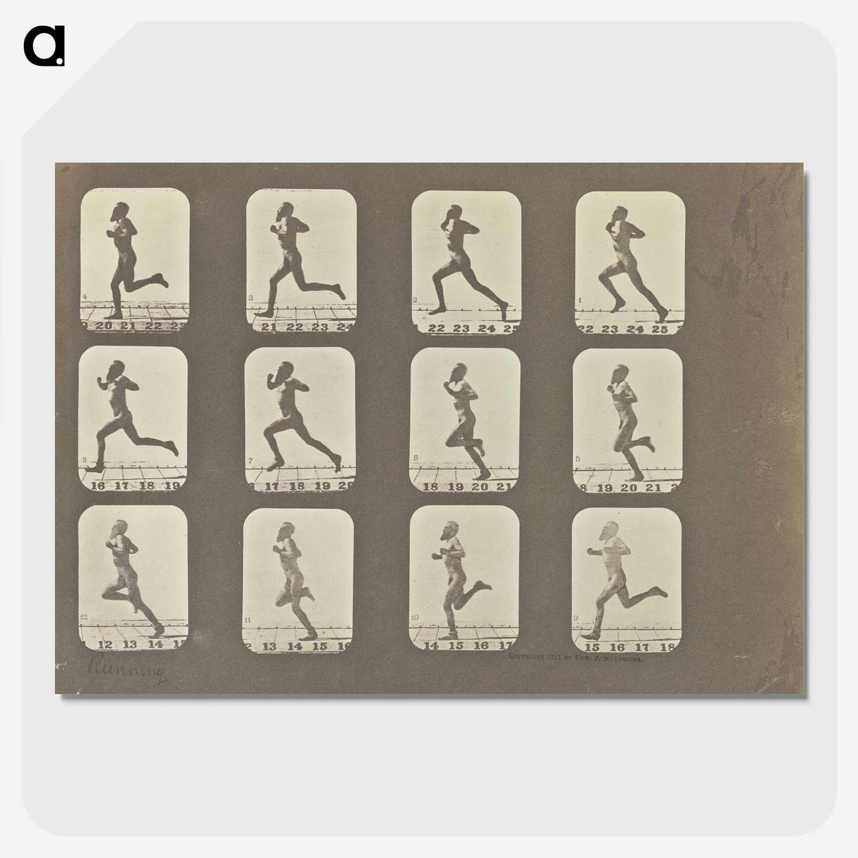 2-13_Eadweard-Muybridge_picture-crop