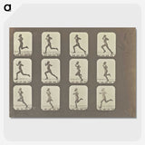 2-13_Eadweard-Muybridge_picture-crop