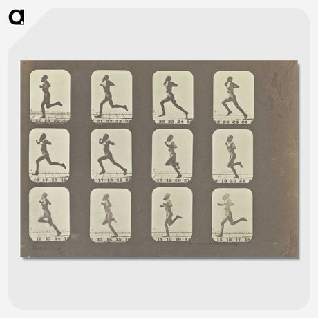 2-13_Eadweard-Muybridge_picture-crop