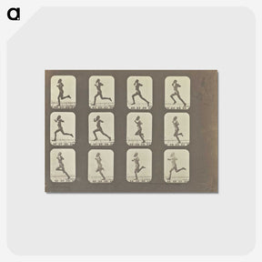 2-13_Eadweard-Muybridge_postcard