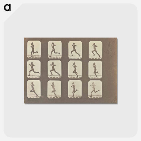 アートポストカード-Male Runner
 - エドワード マイブリッジ Postcard.