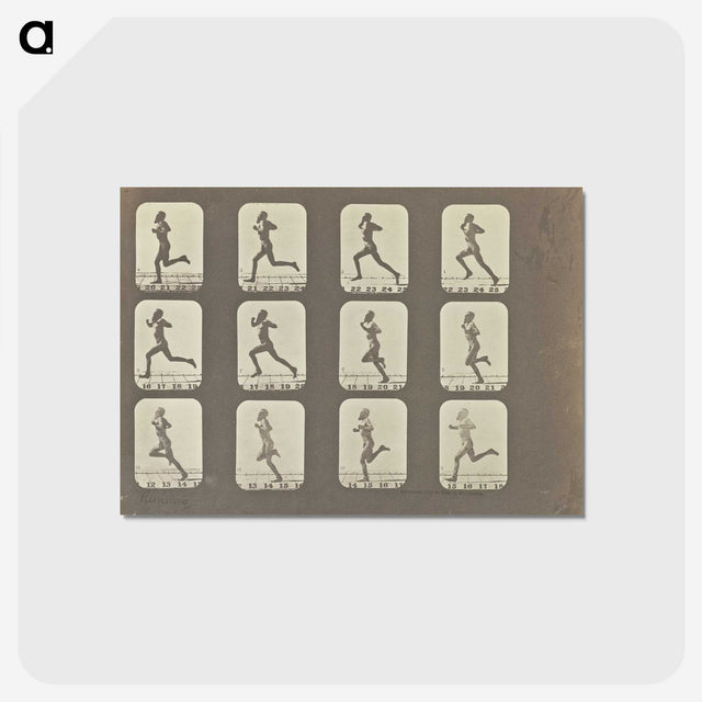 2-13_Eadweard-Muybridge_postcard