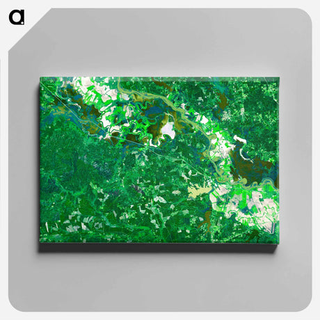 アートパネル-Flooding in the Mid-South
 - 上空からの地球 Canvas.