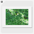 2-13_Earth-from-Above_picture