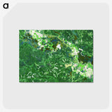 2-13_Earth-from-Above_postcard