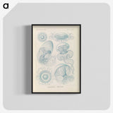 2-13_Ernst-Haeckel_blk-crop
