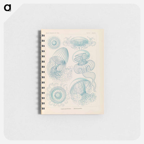 アートメモ帳-Marine life illustration - エルンスト ヘッケル Memo.